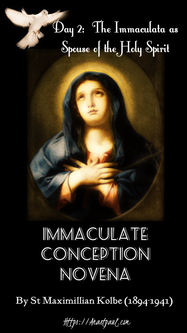 day 2 imm conception novena 2 dec 2019.jpg