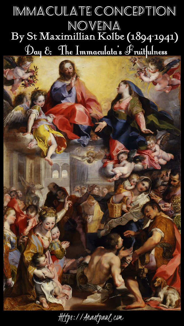 day 8 - the immaculate conception novena 8 dec 2019.jpg