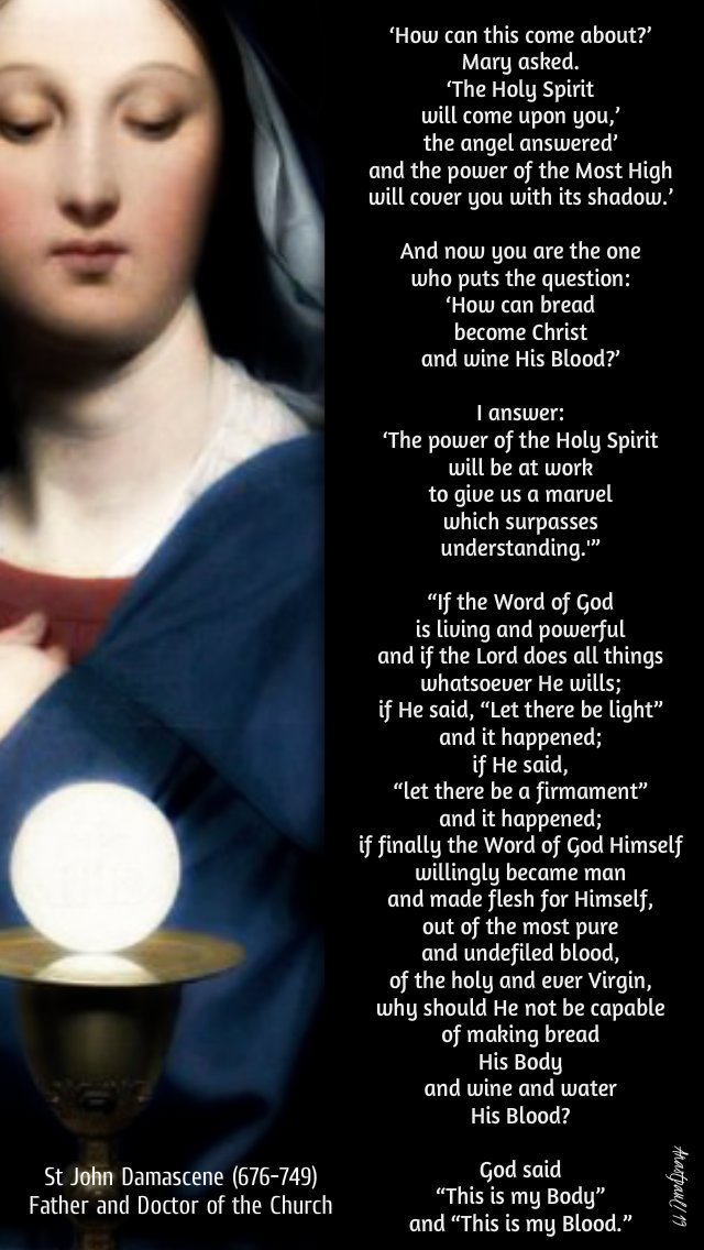 how can this come about mary asked - st john damascene - eucharist - 4 dec 2019.jpg