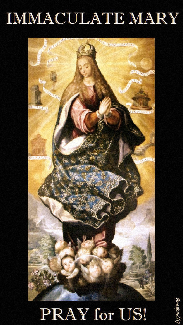 immaculate-mary-pray-for-us - 8 dec 2017 and 9 dec 2019.jpg