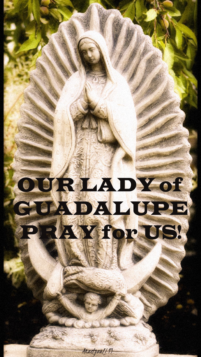 our lady of guadalupe pray for us 12 dec 2019.jpg