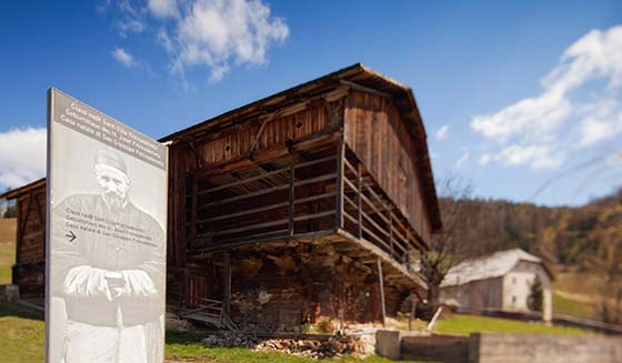 birthplace of st joseph freinademetz-01