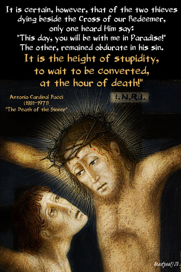 it is the height of stupidity - bacci - 11 jan 2020.jpg