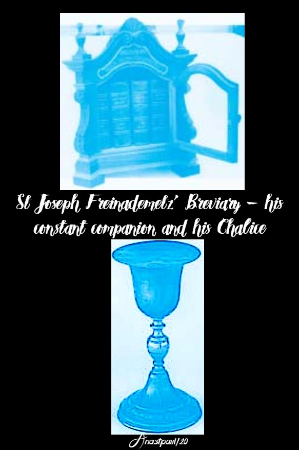 st joseph's chalice and breviary 28 jan 2020 st joseph freinademetz