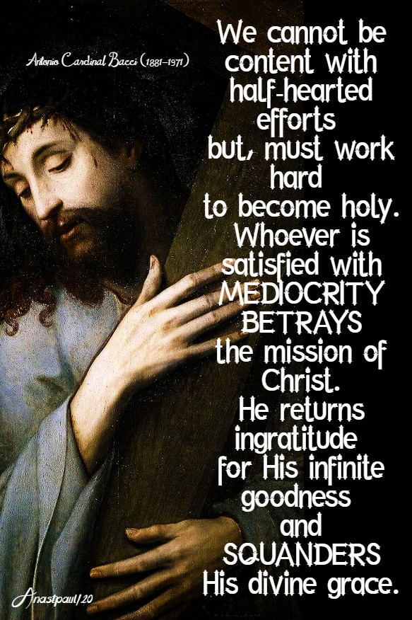 we cannot be content with half-hearted efforsts - bacci 25 jan 2020