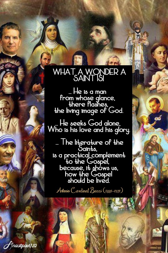 what a wonder a saint is - bacci 18 jan 2020