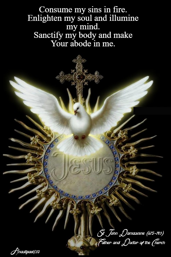 consume my sins in fire ... and make your abode in me - st john damascene 9 feb 2020