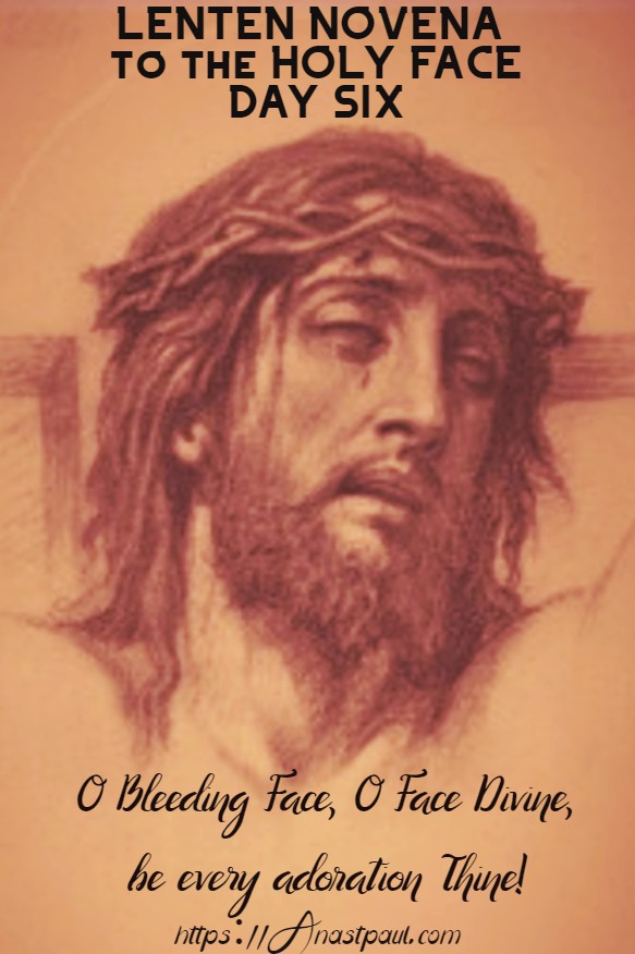 lenten novena to the holy face day six 22 feb 2020