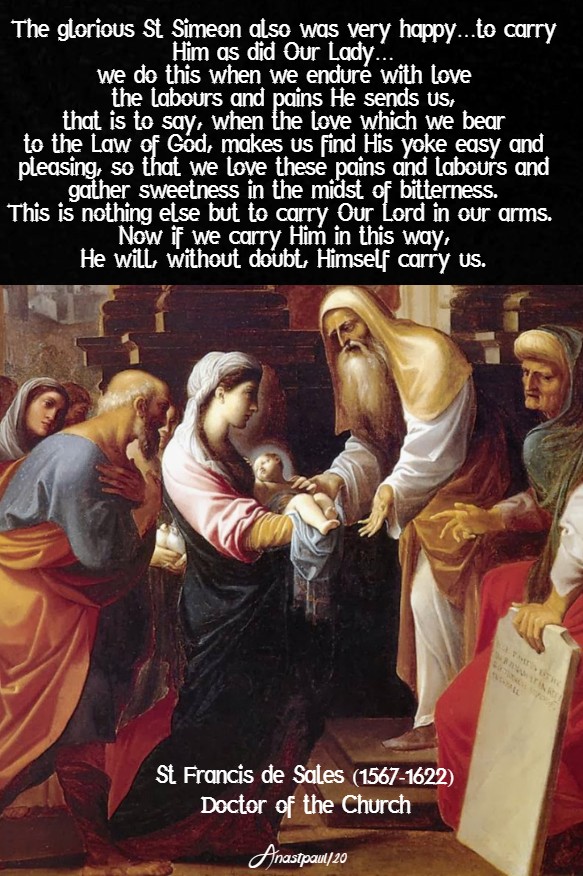 the glorious st simeon no doubt - st francis de sales 2 feb 2020