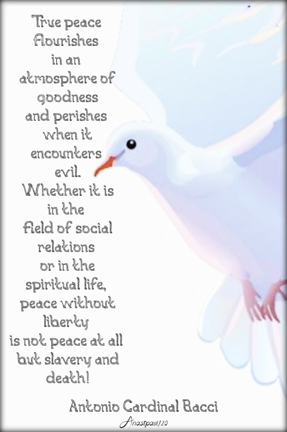 true peace flourishes in an atmosphere of good - bacci 1 fe 2020
