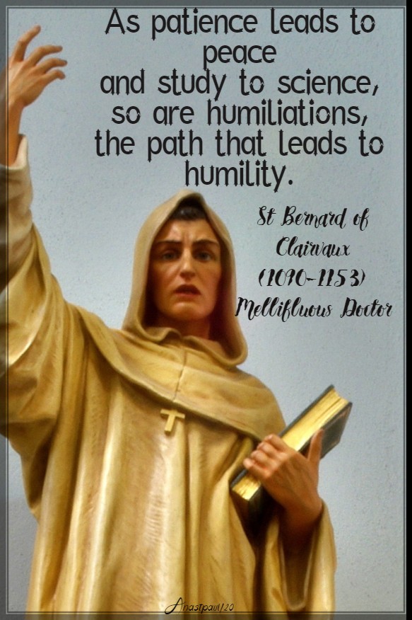 as patience leads to peace - humiliations leads to humility st bernard 11 march 2020