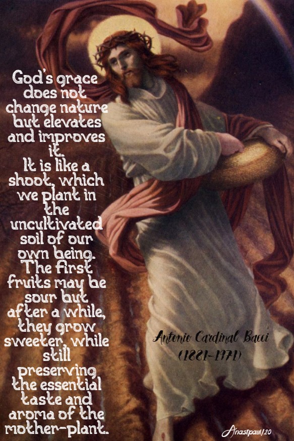 god's grace does not change nature - 23 march 2020 bacci