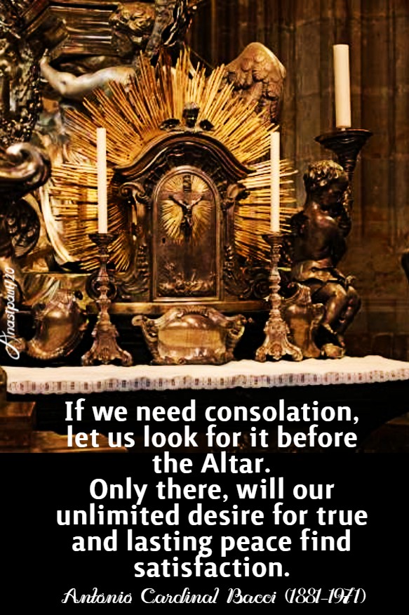 if we look for consolation let us look for it before the altar bacci 17 march 2020