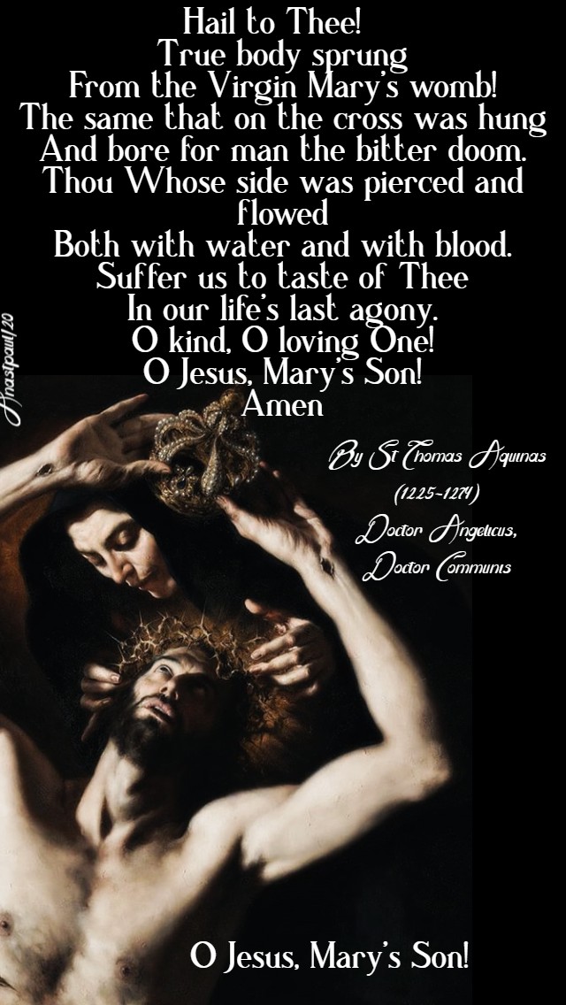 o jesus mary's son st thomas aquinas 28 march 2020