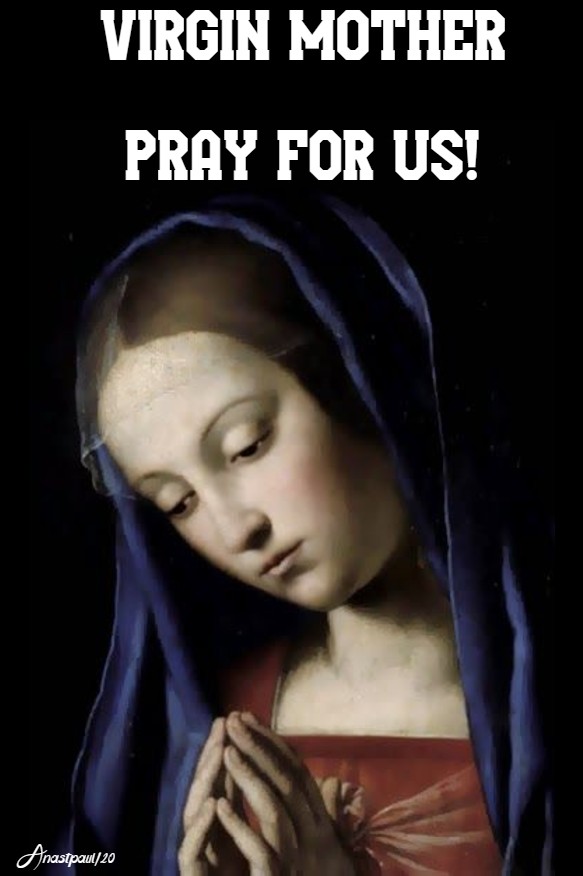 virgin mother pray for us 28 march 2020