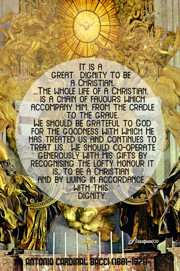 it is a great dignity to be a christian - bacci 29 april 2020 CORRECT