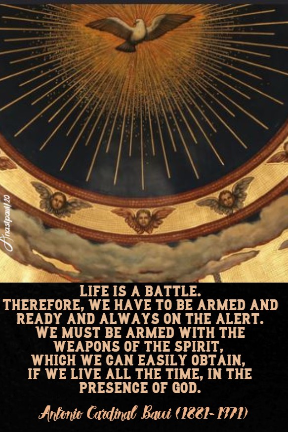 life is a battle - bacci - 23 april 2020