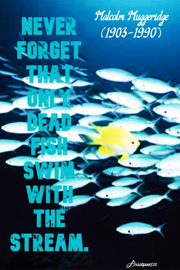 never forget that only dead fish swim with the stream 17 april 2020