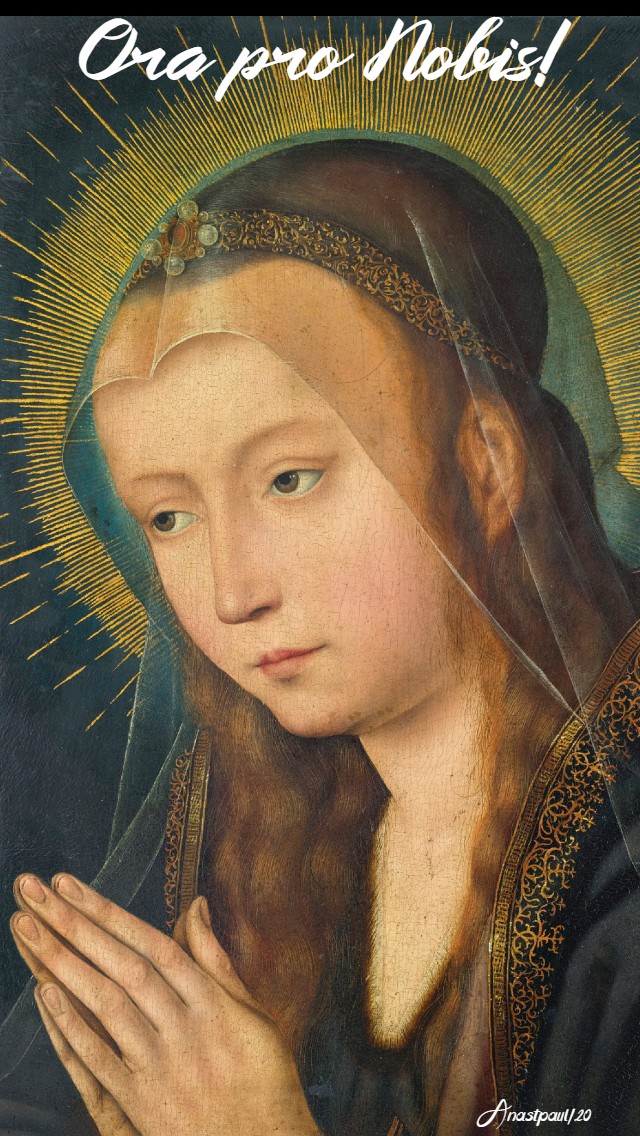 ora pro nobis pray for us madonna mary blessed virghin 26 april 2020
