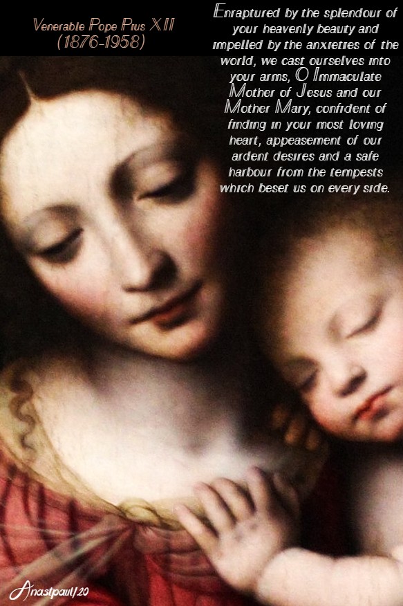 bend over our wounds o mary - pius XII 11 may 2020 FINAL