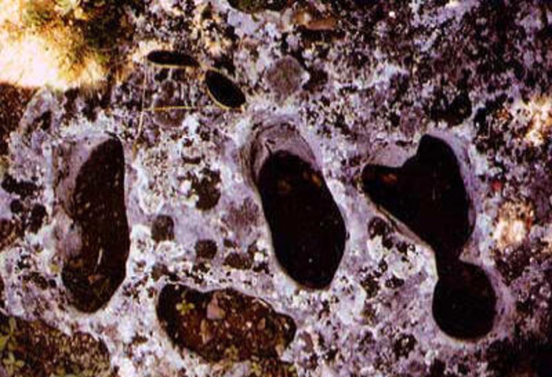 footprints of the devil bl benincasa