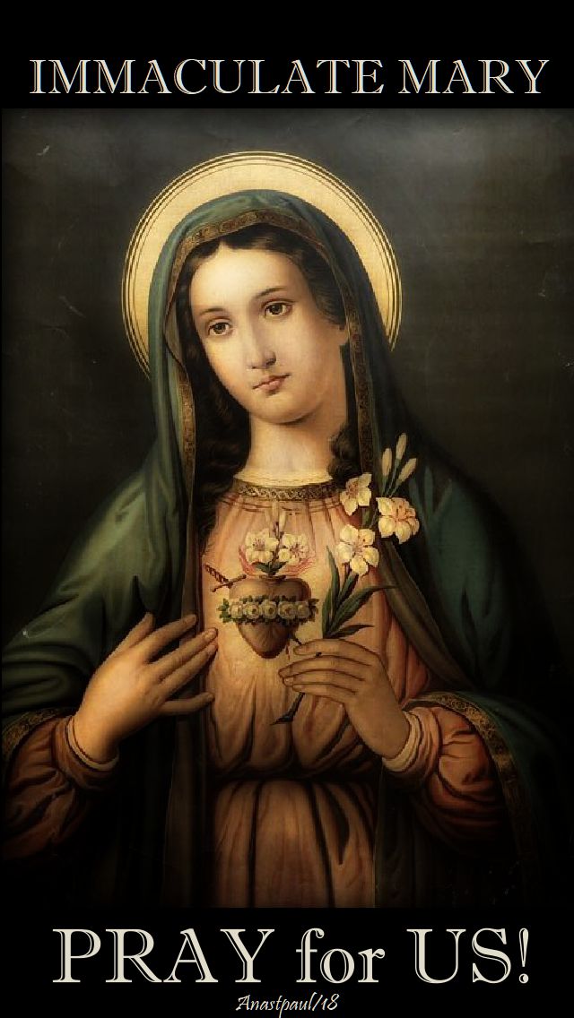 immaculate mary pray for us - 2 sept 2018