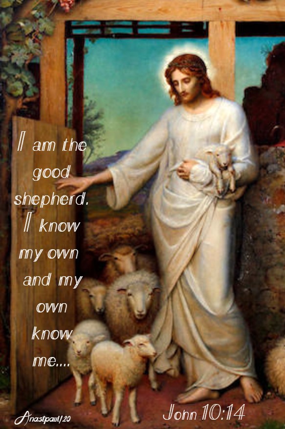 john 10 14 i am the good shepherd i know my own 4 mary 2020