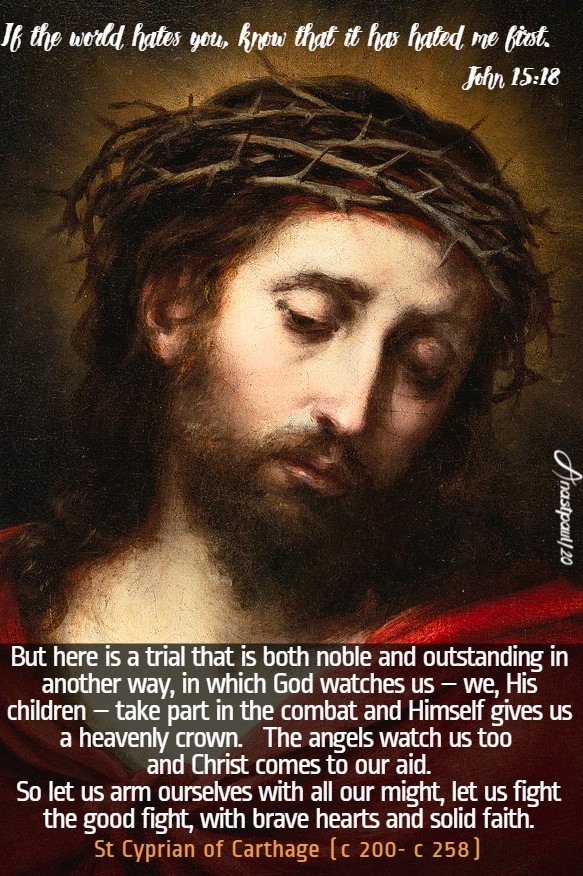 john 15 12 if the world hates you - but here is a trial that is both noble - st cyprian of carthage 16 may 2020