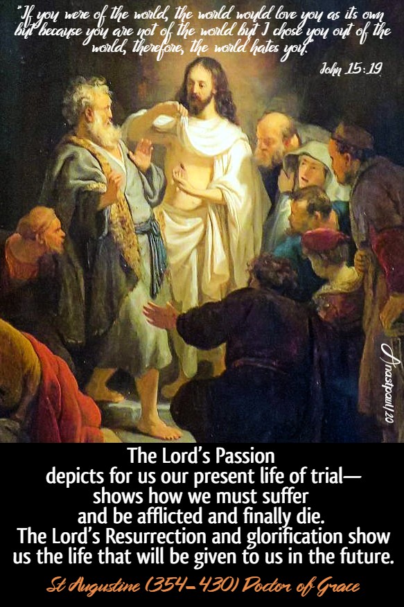 john 15 19 if you were of the world - the Lord's Passion depicts for us - st augustine 16 may 2020