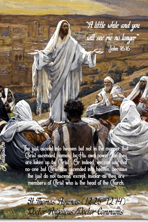 john 16 16 a little while and you will see me no longer - the just ascend into heaven - st thomas aquinas 21 may 2020