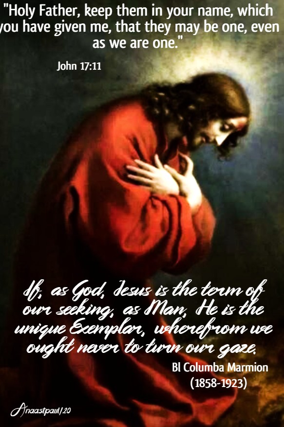 john 17 11 holy father, keep them in your name - if as god jesus is the term of our seeking, as man he is the unique Exemplar - bl columba marmion 24 may 2020