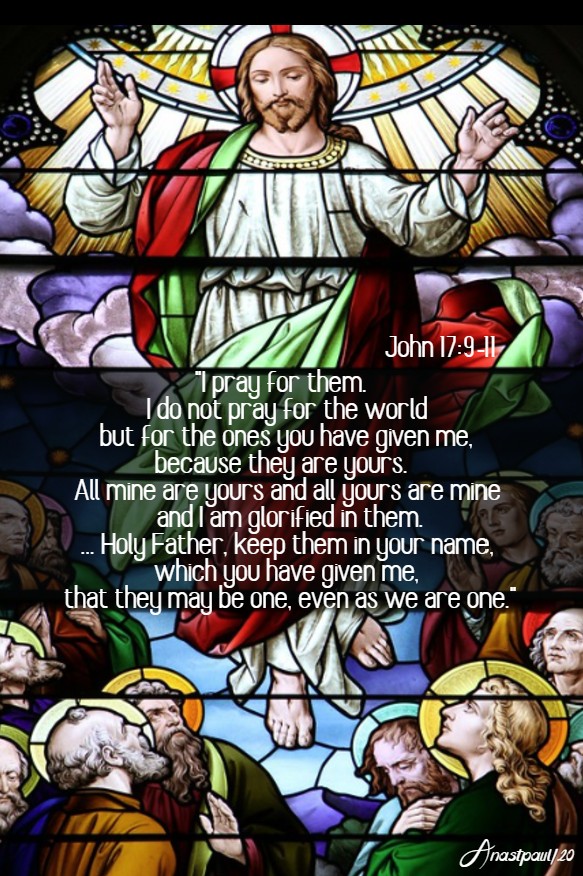 john 17 9-11 i pray for them i do not pray for the world - 24 may 2020