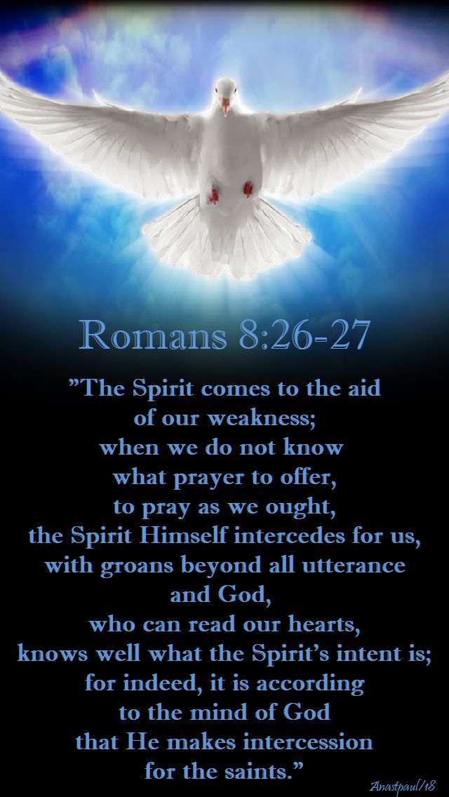 romans 8 26 - 27 - the spirit comes to the aid of our weakness - 16 may 2018