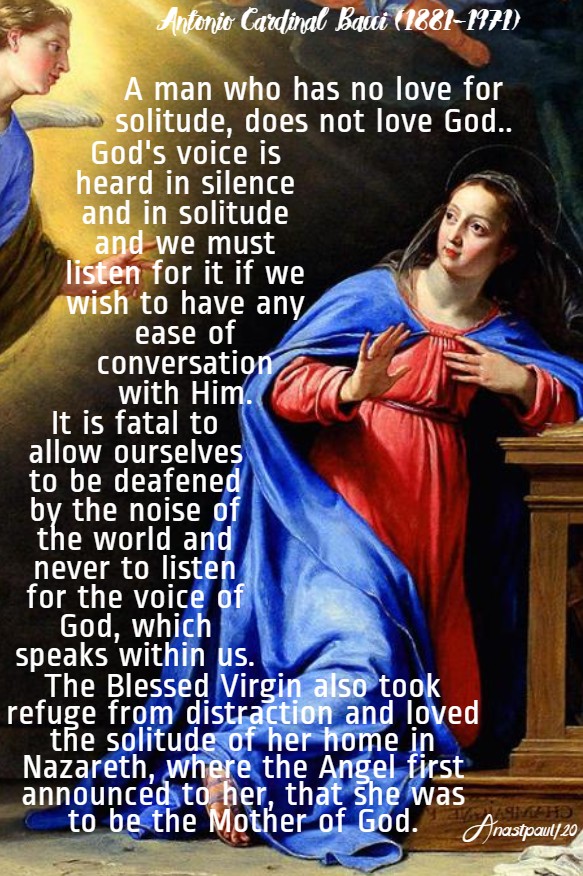 solitude bacci 26 may 2020