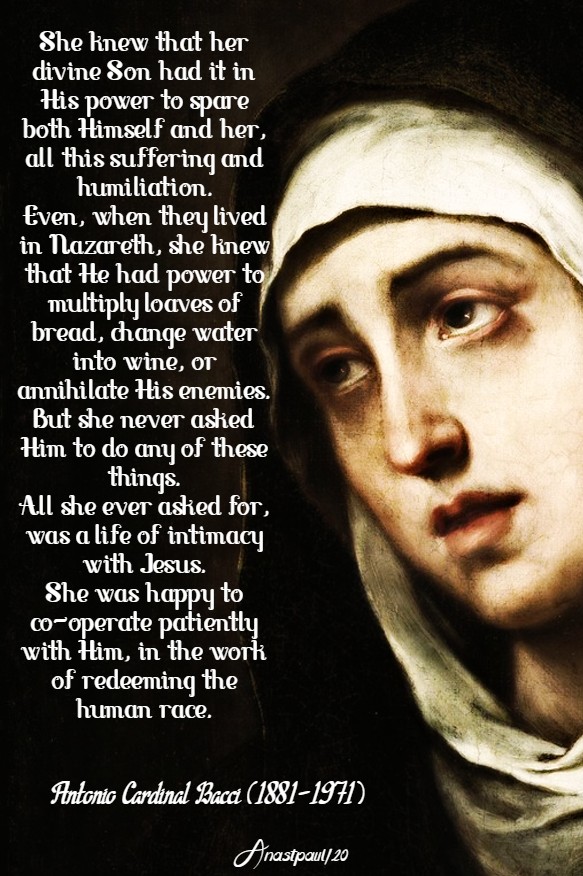 The Patience of Mary bacci 10 may 2020