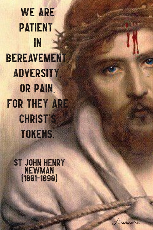 we are patient in bereavement, adversity or pain - st john henry newman 16 may 2020