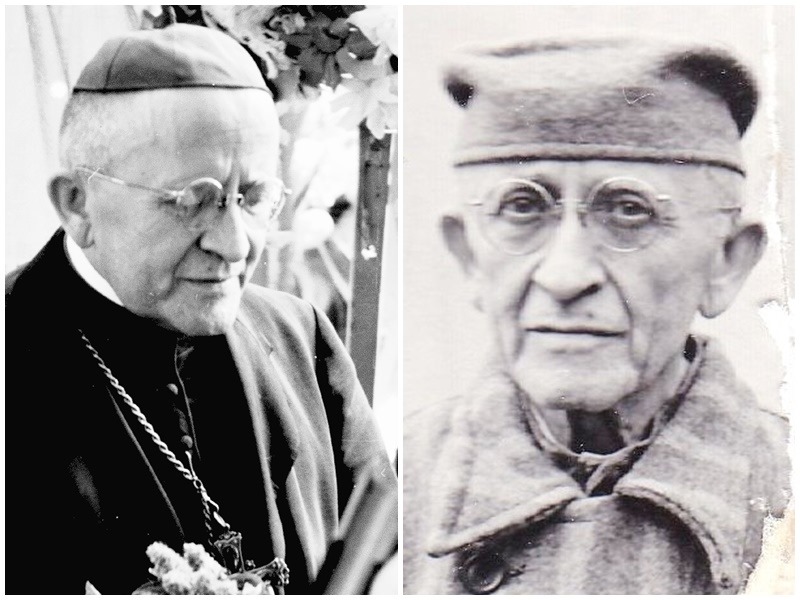 bl alexandru rusu header