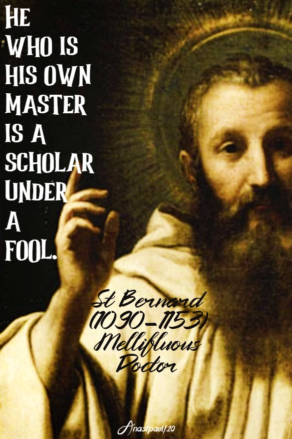 he who is his ow master is a scholar under a fool - st bernard 25 june 2020