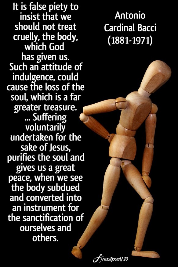 it is a false piety to think - external mortification - bacci 25 june 2020