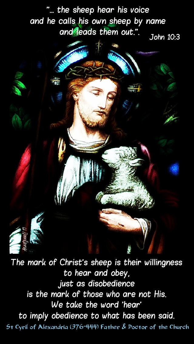 john 10 3 he calls his own sheep - the mark of christ's sheep is their willingness to hear - st cyril of alex 13 may 2019