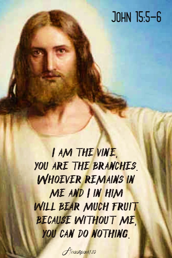 john 15 5-6 i am the vine - 23 june 2020
