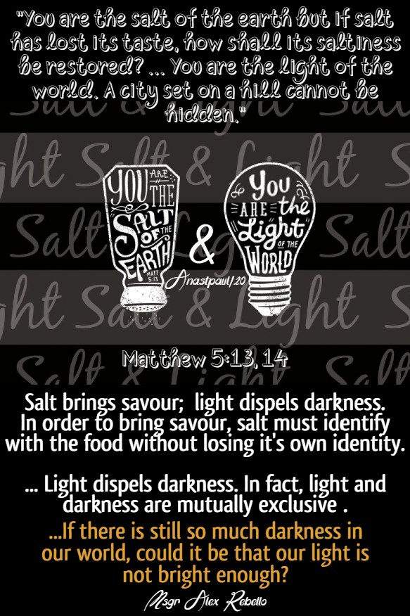 matthew 5 13 and 14 salt and light msgr alex rebellow bible diary 9 june 2020