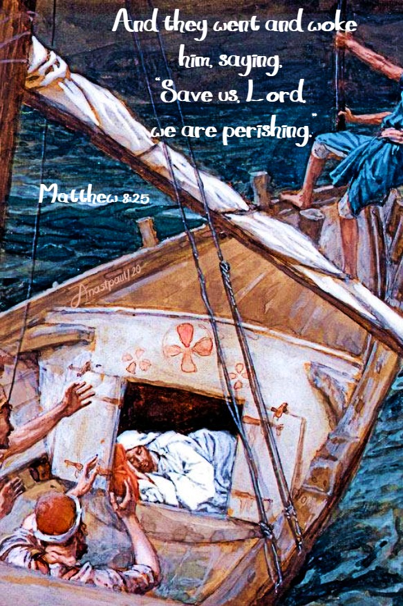 matthew 8 25 and they went and woke him saying save us lord - 30 june 2020