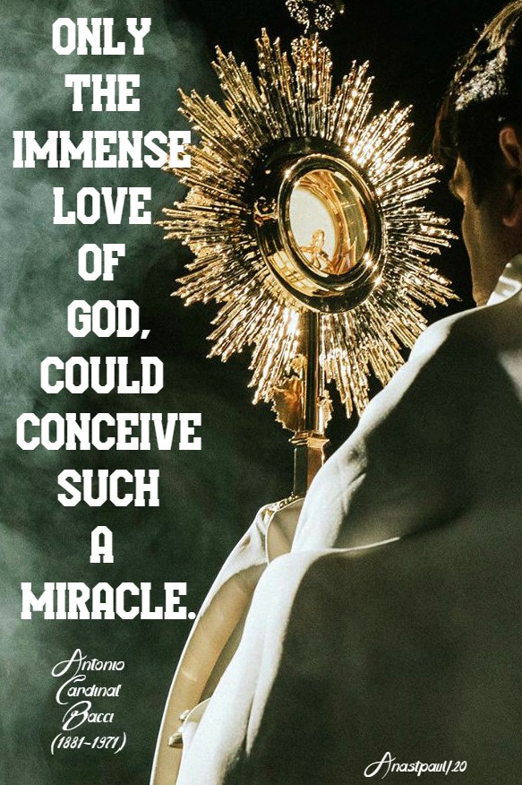 only the immense love of god could conceive such a miracle - bacci 14 june 2020