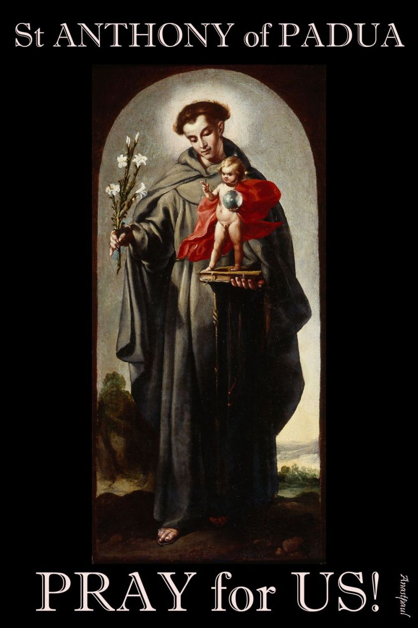 ST ANTHONY OF PADUA PRAY FOR US 3