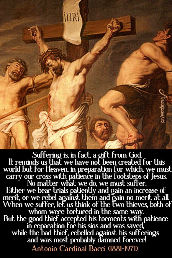 suffering is in fact a gift from god - bacci - 16 june 2020