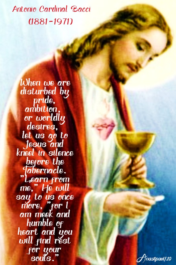 when we are disturbed pride - bacci 11 june 2020