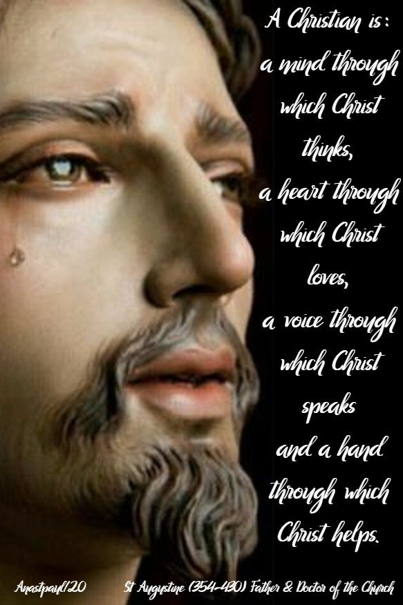 a-chrisitan-is-a-mind-through-which-christ-thinks-st-augustine-14-april-2020-easter-tuesday 24 july 2020
