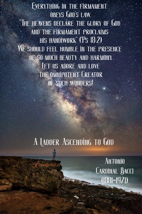 a ladder ascending to god - bacci - 6 july 2020 (1)