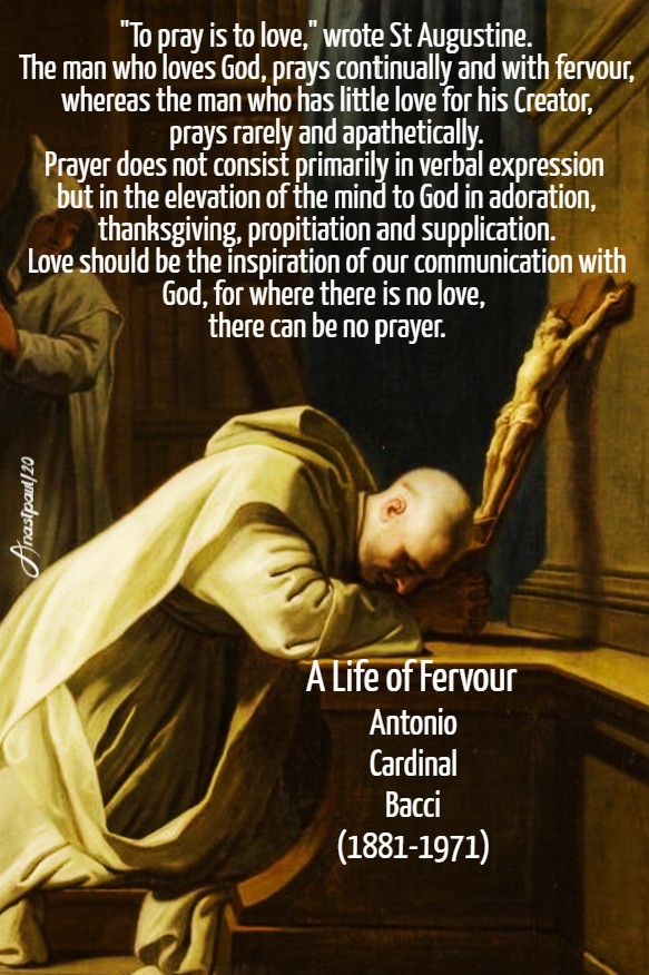 a life of fervour bacci 15 july 2020